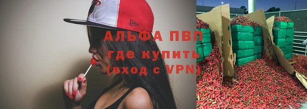 МДПВ Вяземский