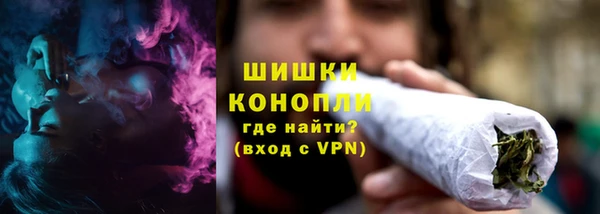МДПВ Вяземский