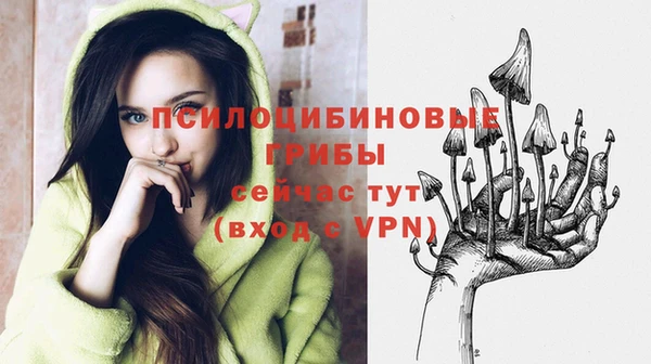 мет Вязники
