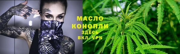 МДПВ Вяземский