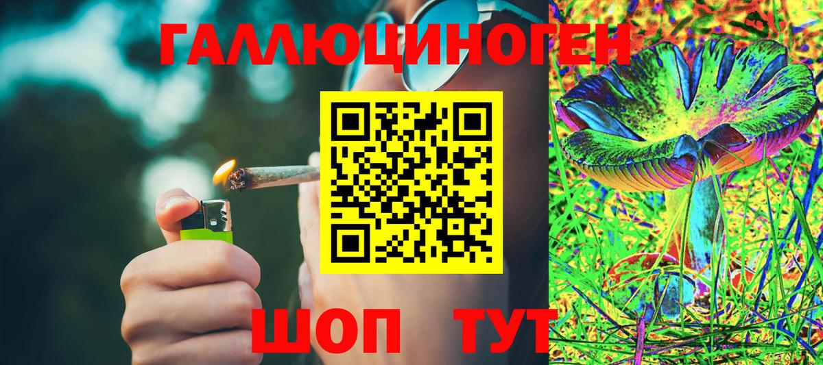 Галлюциногенные грибы мухоморы Муром