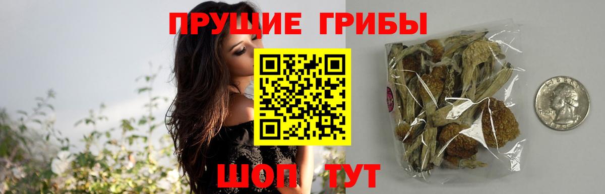 Галлюциногенные грибы Cubensis  Псилоцибиновые грибы мухоморы  Муром  Вход с VPN 